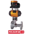 Worcester PULSAIR III Series Valves